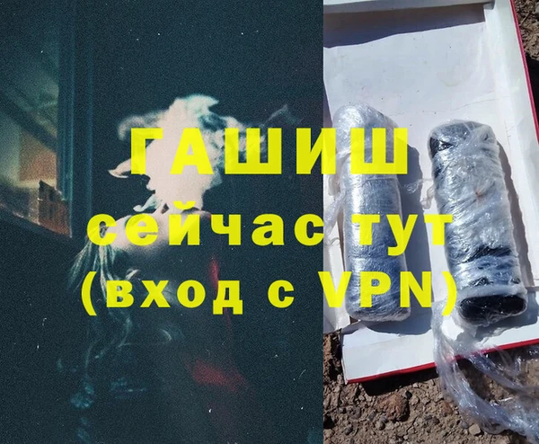 сатива Алзамай