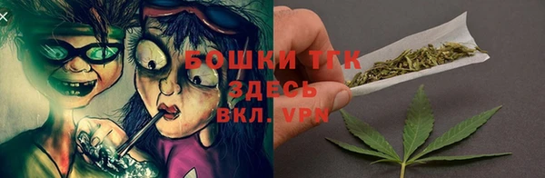 сатива Алзамай