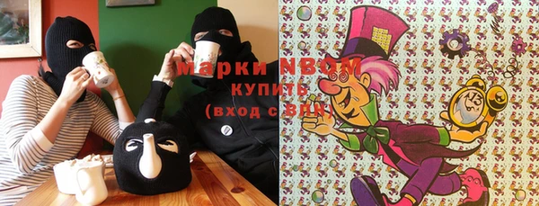 метадон Алексин