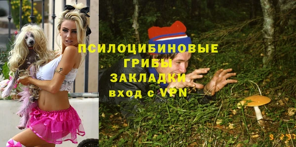 сатива Алзамай