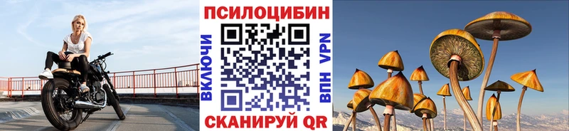 Псилоцибиновые грибы мицелий  Черноголовка 