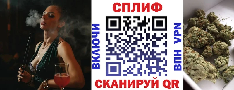Шишки марихуана сатива  hydra ONION  Черноголовка 